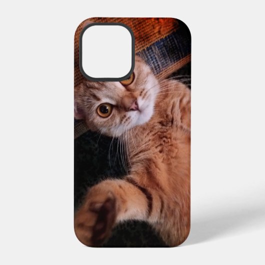 iPhone12 Pro カバー...猫 iPhoneケース (裏面)