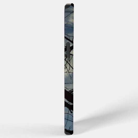 iPhone 12 Pro Max カース iPhoneケース (右側面)