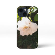 IPhone 13ミニケース