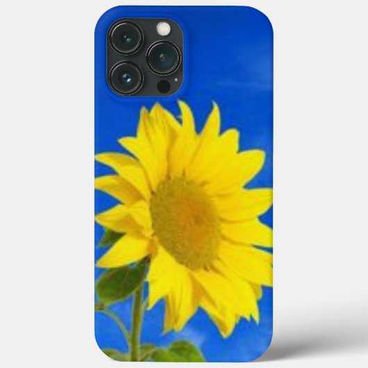 iPhone 13 proの最大ケース Case-Mate iPhoneケース (裏面)