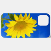 iPhone 13 proの最大ケース Case-Mate iPhoneケース (裏面 (横))