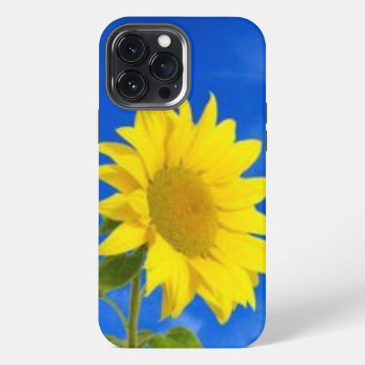iPhone 13 proの最大ケース iPhoneケース (裏面)