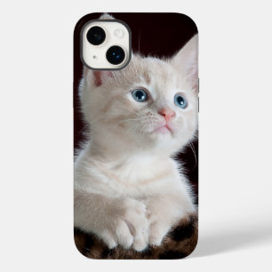 iphone 14ケースプラス猫の愛 Case-Mate iPhone 14 plusケース