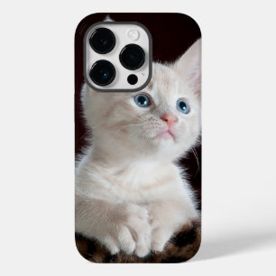 iphone 14ケースプロキャットラブ Case-Mate iPhone 14 proケース