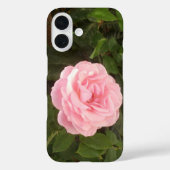 iPhone 16 カバー (裏面)