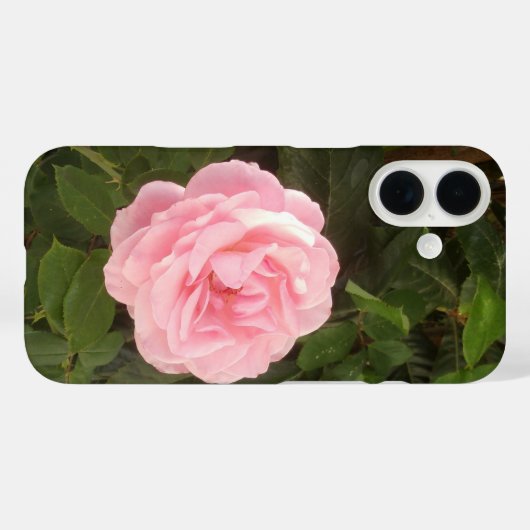 iPhone 16 カバー (裏面 (横))