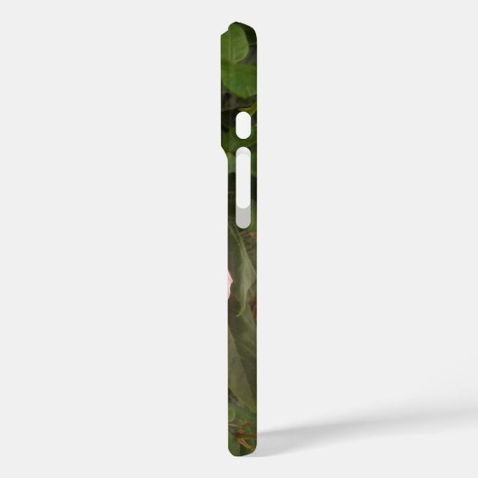 iPhone 16 カバー (裏面 / 左)