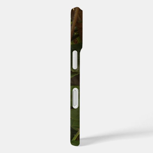 iPhone 16 カバー (裏面 / 右)