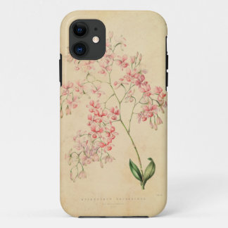 iPhone 5の場合-ヴィンテージの蘭のイラストレーション 11 ケース