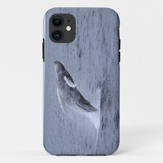 Iphone 5の穹窖のザトウクジラの破ること Case-Mate iPhoneケース (裏面)