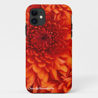 iPhone 5の菊の箱 11 ケース