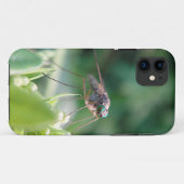iPhone 5ヒュルグロスミュッケ Case-Mate iPhoneケース (裏面(横))