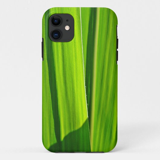 iPhone 5 カバー 緑のトウモロコシの葉 (裏面)