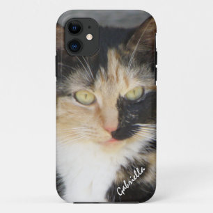 iPhone 5: パーソナライズなさらさの子猫の箱 11 ケース