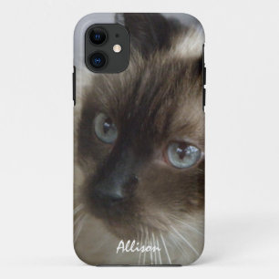 iPhone 5: パーソナライズなシャムの子猫の箱 11 ケース