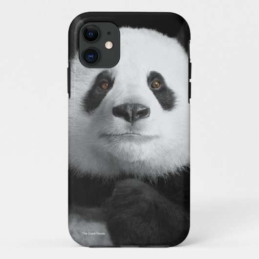 iPhone-5-5S-Kolly-There用パンダ画像 Case-Mate iPhoneケース (裏面)