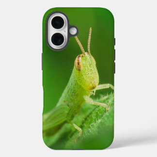 iPhone/iPadケース iPhone 16ケース