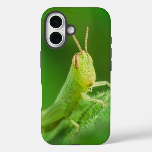 iPhone/iPadケース Case-Mate iPhoneケース (裏面)