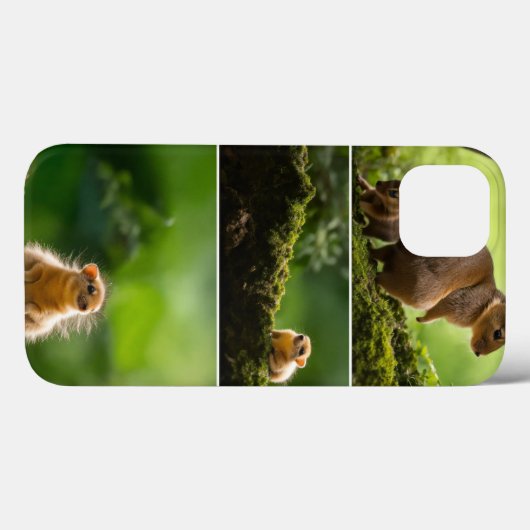 iPhone / iPadケース Case-Mate iPhoneケース (裏面 (横))