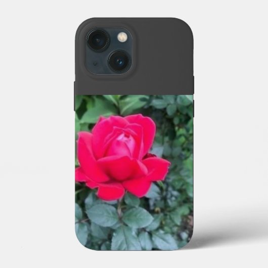 iPhone / iPad カバー (裏面)