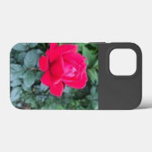 iPhone / iPad カバー (裏面 (横))