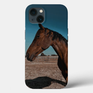 iPhone / iPad カバー