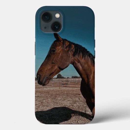 iPhone / iPad カバー (裏面)