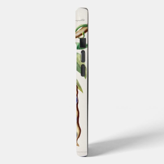 iPhone / iPad ケース Case-Mate iPhoneケース (裏面 / 左)