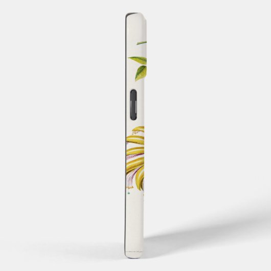 iPhone / iPad ケース Case-Mate iPhoneケース (裏面 / 右)