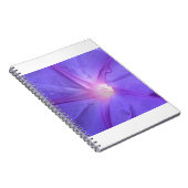 ipomée ノートブック (右側)