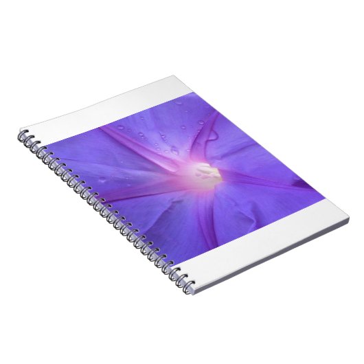 ipomée ノートブック (右側)