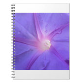 ipomée ノートブック (正面)