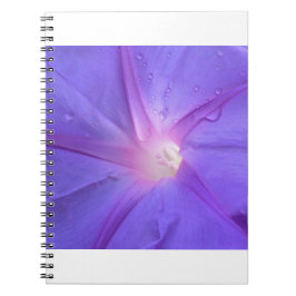 ipomée ノートブック