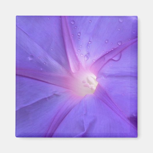 ipomée マグネット (正面)