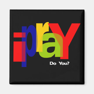 ipraY マグネット