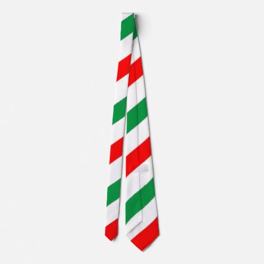 Iranian Tie  ネクタイ (裏面)