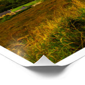 . Ireland's "Heavenly Glen": The Mystical Dunlewey ポスター (コーナー)