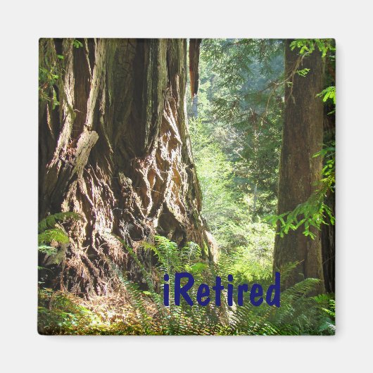 iRetired マグネット 退職 退職祝い ギフト (正面)