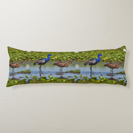 Iridescent Jacana & Rusty Companion – Elegant Body ボディピロー (正面)