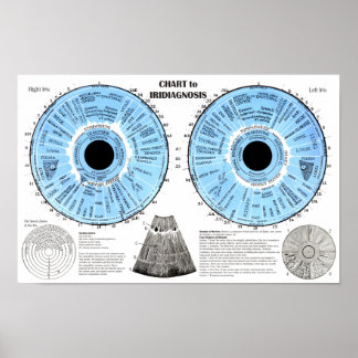 Iridiagnosis Iridology Eye Chart  ポスター
