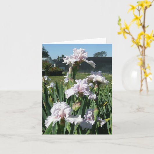 IRISカード – STAWBERRYつや消し-空白のノートカード カード (黄色い花)