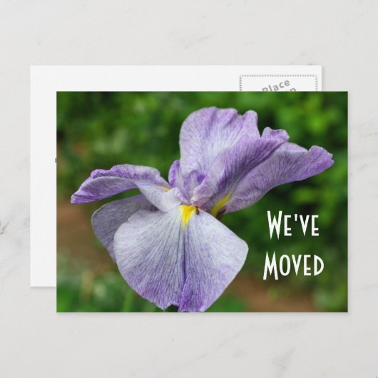 Iris新日本の住所フローラはがき 案内ポストカード (正面/裏面)