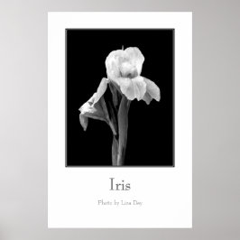 "Iris" ポスター