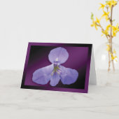 "Iris" – 濃い紫の背景GC カード (黄色い花)