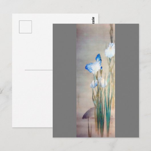 Iris and Carp渡辺聖亭 ポストカード (正面/裏面)