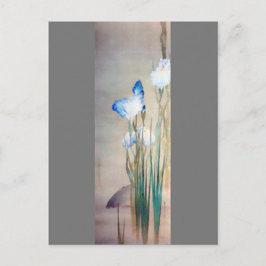 Iris and Carp渡辺聖亭 ポストカード (正面)