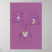Iris Botanical Line Art ポスター (正面)