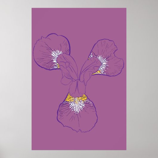 Iris Botanical Line Art ポスター (正面)