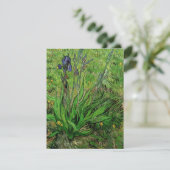 Iris by Vincent vanゴッホ、ヴィンテージガーデンフラワーズ (スタンド正面)