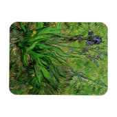 Iris by Vincent vanゴッホ、ヴィンテージガーデンフラワーズ マグネット (横)